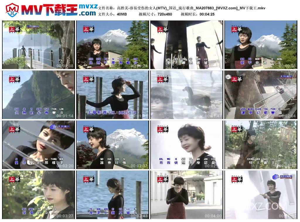 高胜美-容易受伤的女人(MTV)_国语_流行歌曲_MA207883